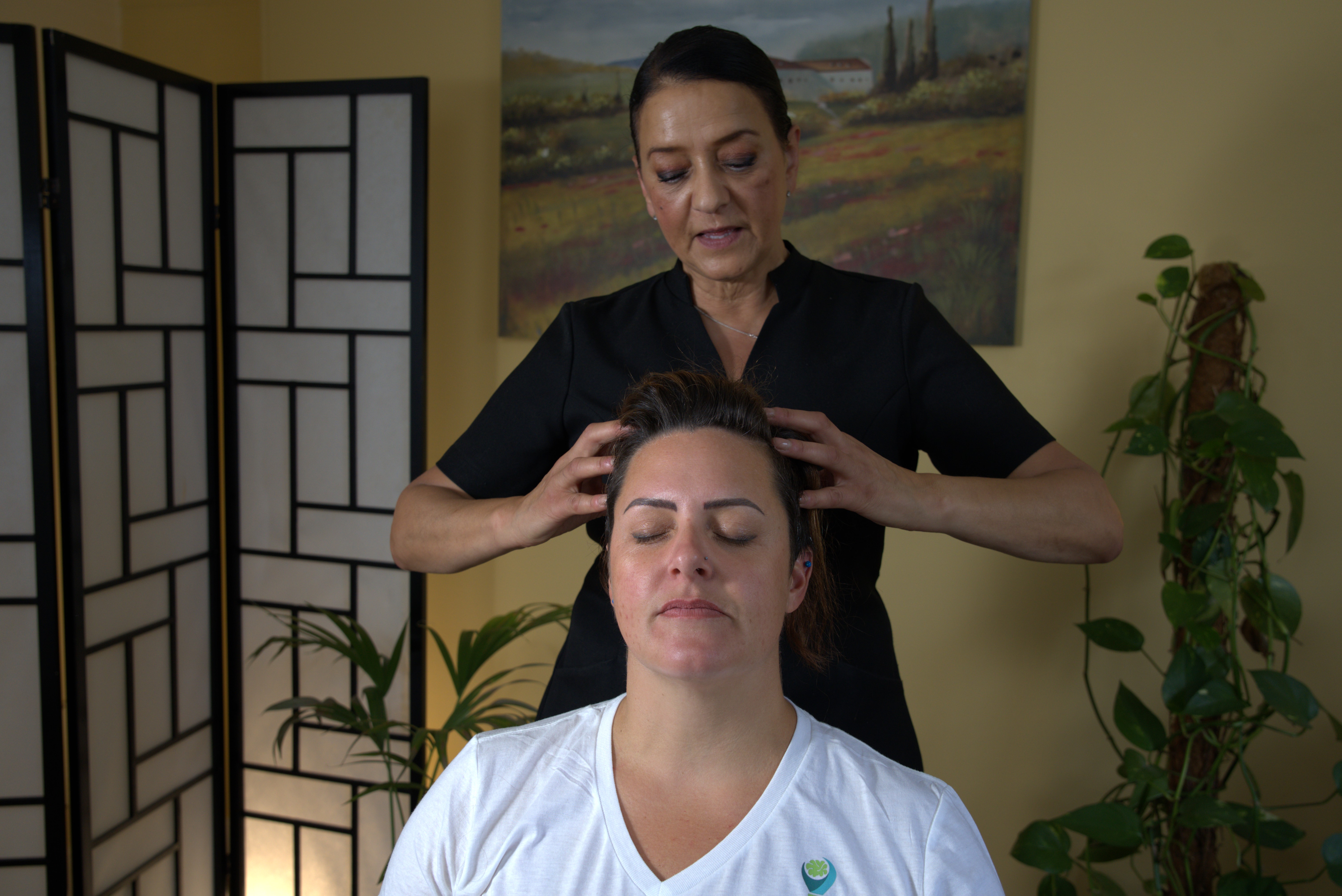 Course Image for DE01E21C Indian Head Massage